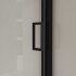 Душевая дверь City VDS-5CT120CLB, 1200, черный, стекло прозрачное