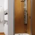 Душевая дверь в нишу Radaway Premium Plus DWJ 100 стекло фабрик