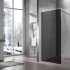 Душевая перегородка Walk-In VSW-1H100CGGM, 1000*2000, вороненая сталь, стекло тонированное