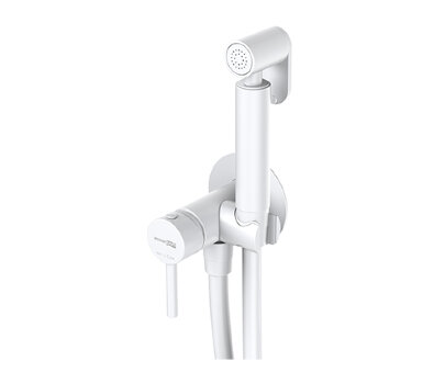 A70538 Встраиваемый смеситель для душа с гигиенической лейкой A70538 Встраиваемый смеситель для душа с гигиенической лейкой