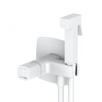 Saale 9538 Встраиваемый смеситель для душа с гигиенической лейкой Saale 9538 Встраиваемый смеситель для душа с гигиенической лейкой