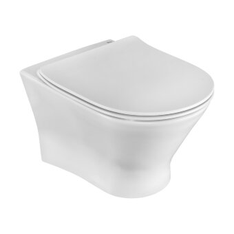 ПЭК Roca Leon ZRU9307623 подвесная чаша Rimless + инсталляция + сиденье дюропласт, без панели смыва ПЭК Roca Leon ZRU9307623 подвесная чаша Rimless + инсталляция + сиденье дюропласт, без панели смыва